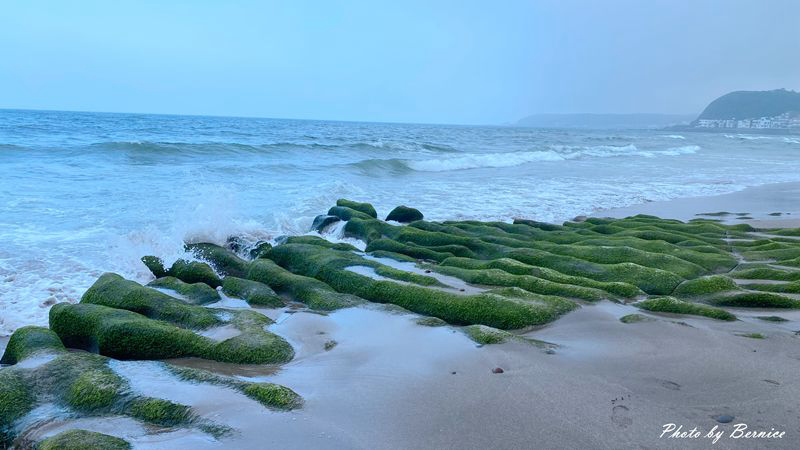 老梅綠石槽~季節限定感受大自然提供這美美的綠地毯 @Bernice的隨手筆記