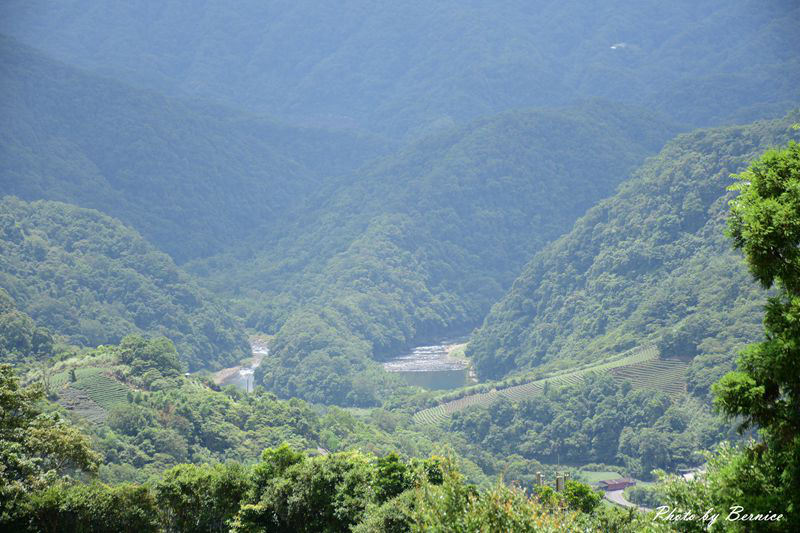 南山寺景觀平台~五分鐘步道360度無死角欣賞茶山與山嵐的美 @Bernice的隨手筆記