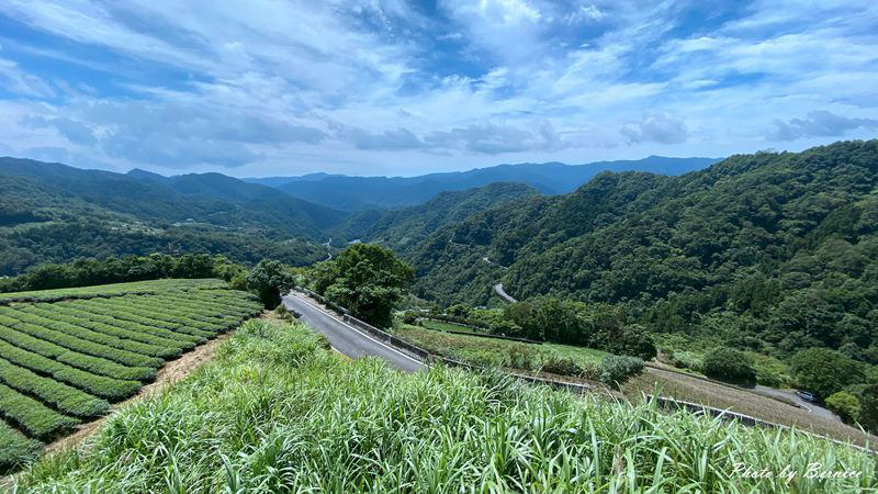 南山寺景觀平台~五分鐘步道360度無死角欣賞茶山與山嵐的美 @Bernice的隨手筆記