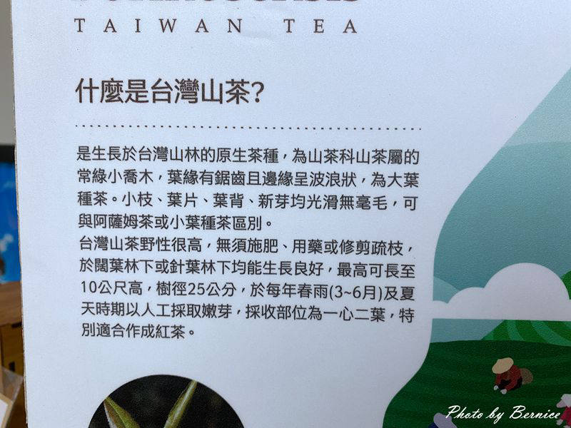 六龜山茶故事館~六龜農村旅遊新亮點‧引爆原生山茶邁向台灣精品茶之路 @Bernice的隨手筆記