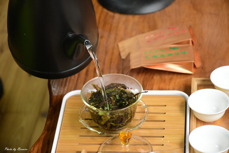 探索六龜原生山茶獨特茶香秘密與珍貴之處 @Bernice的隨手筆記