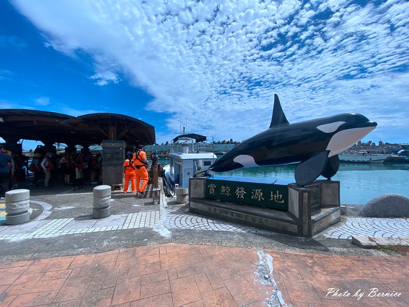 來去賞鯨發源地-花蓮石梯港進行一個悠閒賞鯨的活動 @Bernice的隨手筆記