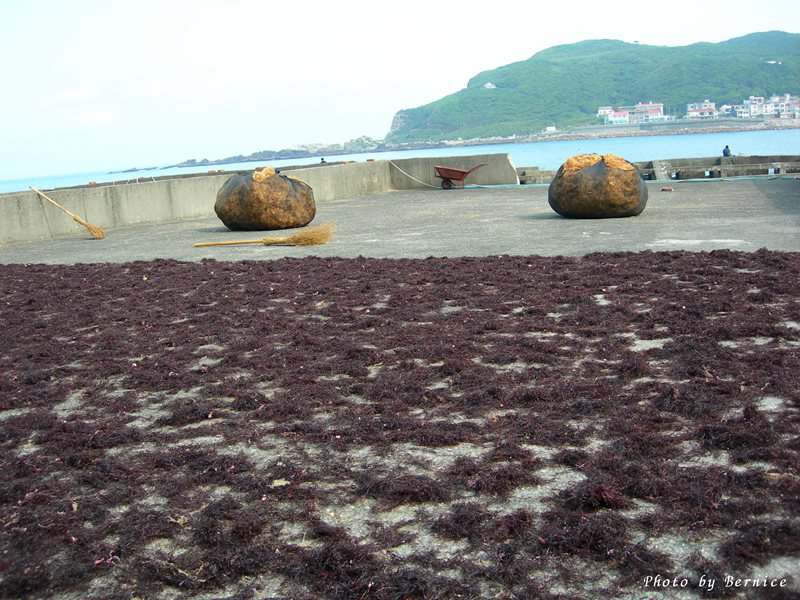 東北角休閒漁業廊道探索~南雅社區/鮮物本舖/龍門社區/卯澳社區 @Bernice的隨手筆記