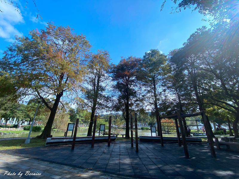 大湖公園落羽松~捷運出站即抵達最輕鬆欣賞落羽松美景的所在 @Bernice的隨手筆記