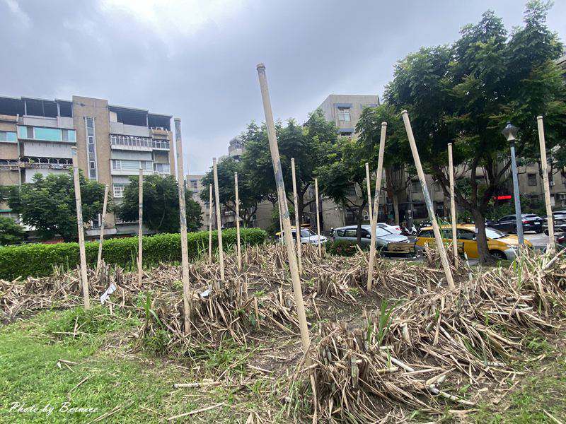 糖廍文化園區(糖廍文化史蹟公園)~探索巷弄內的百年五分車與台灣最北製糖所 @Bernice的隨手筆記