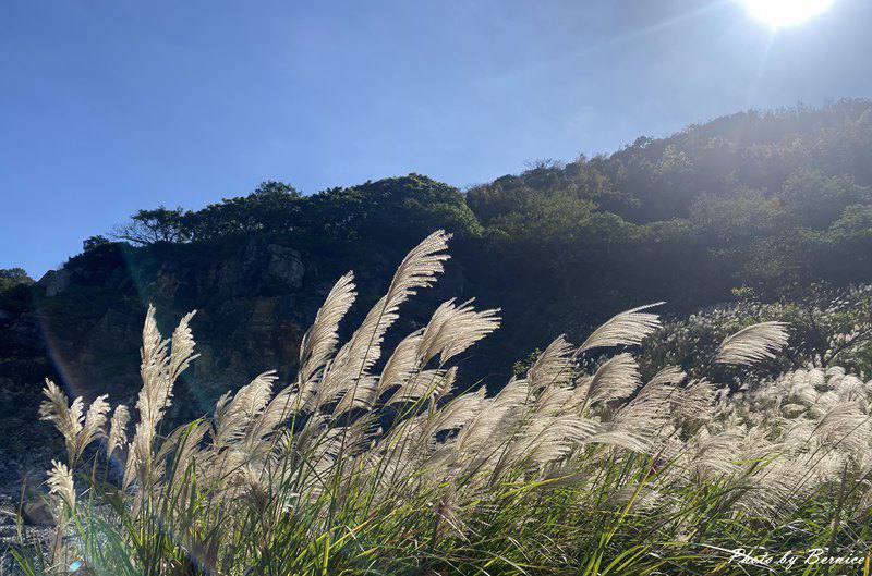 硫磺谷秋芒~舒適賞芒花感受地熱帶來的溫暖 @Bernice的隨手筆記