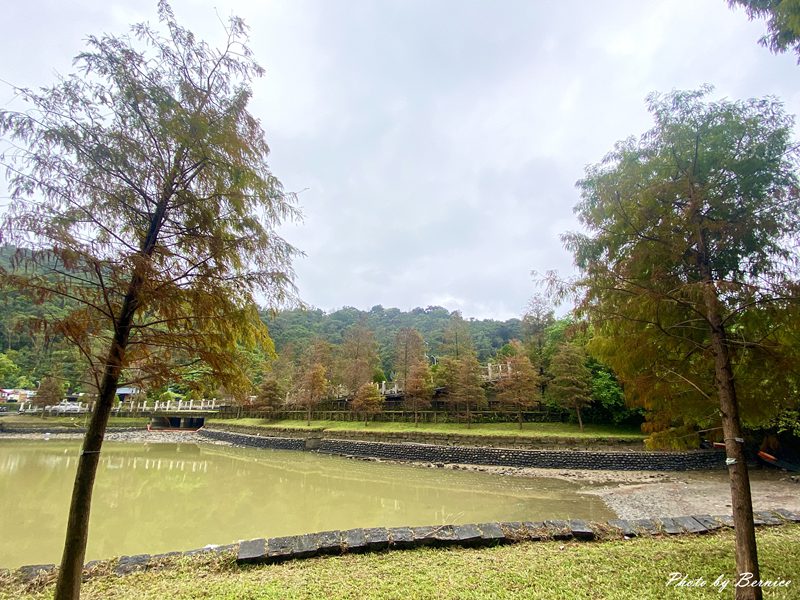 大湖公園落羽松~北市最便捷賞松點. 陰天中的美感 @Bernice的隨手筆記