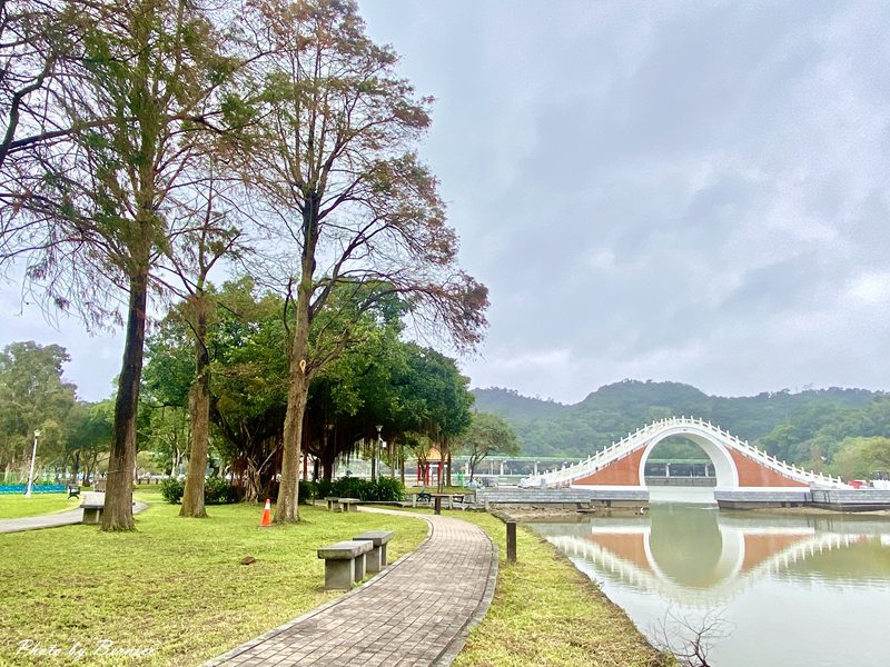 大湖公園落羽松~北市最便捷賞松點. 陰天中的美感 @Bernice的隨手筆記