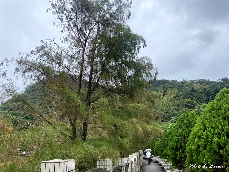 大湖公園落羽松~北市最便捷賞松點. 陰天中的美感 @Bernice的隨手筆記