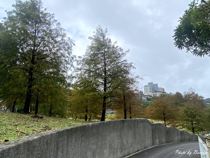 大湖公園落羽松~北市最便捷賞松點. 陰天中的美感 @Bernice的隨手筆記