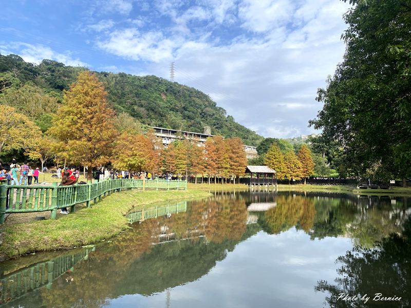 原住民文化主題公園落羽松~現主時黃綠紅交錯快來打卡網紅熱點 @Bernice的隨手筆記