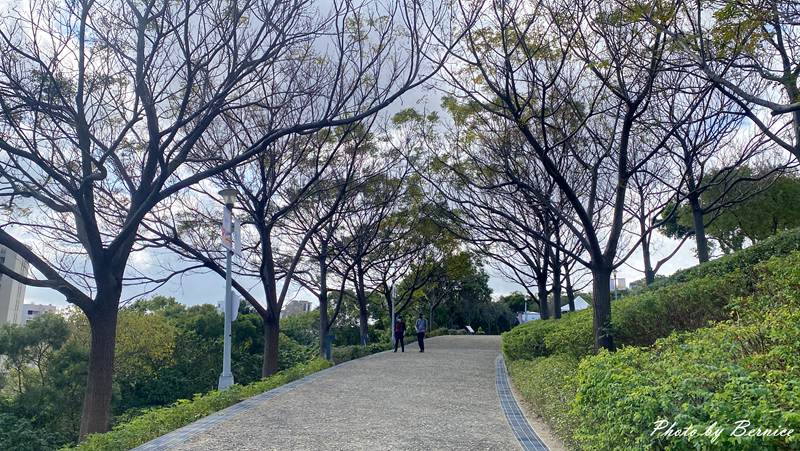 北投社三層崎公園花海~彩色浪花海.走春好所在 @Bernice的隨手筆記