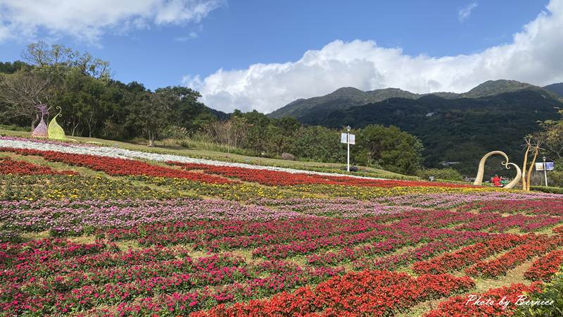 北投社三層崎公園花海~彩色浪花海.走春好所在 @Bernice的隨手筆記