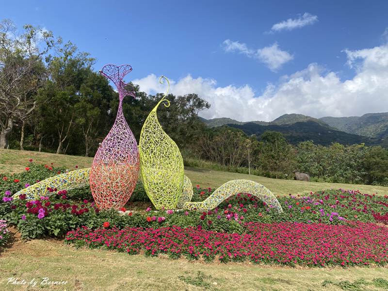 北投社三層崎公園花海~彩色浪花海.走春好所在 @Bernice的隨手筆記