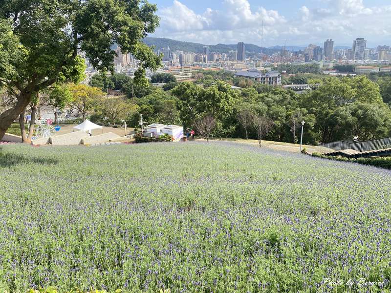 北投社三層崎公園花海~彩色浪花海.走春好所在 @Bernice的隨手筆記