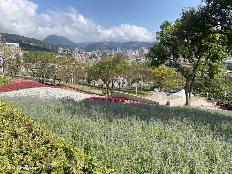 北投社三層崎公園花海~彩色浪花海.走春好所在 @Bernice的隨手筆記