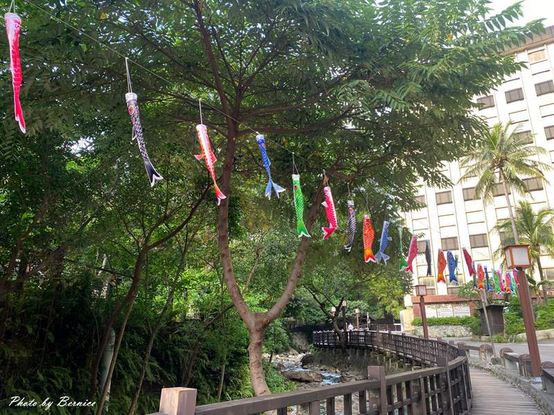 2025北投夏日祭り-魚躍龍門 盛夏祈福~上千鯉魚齊飄揚 盛夏北投獻祝福 夜間閃爍共綻放 @Bernice的隨手筆記