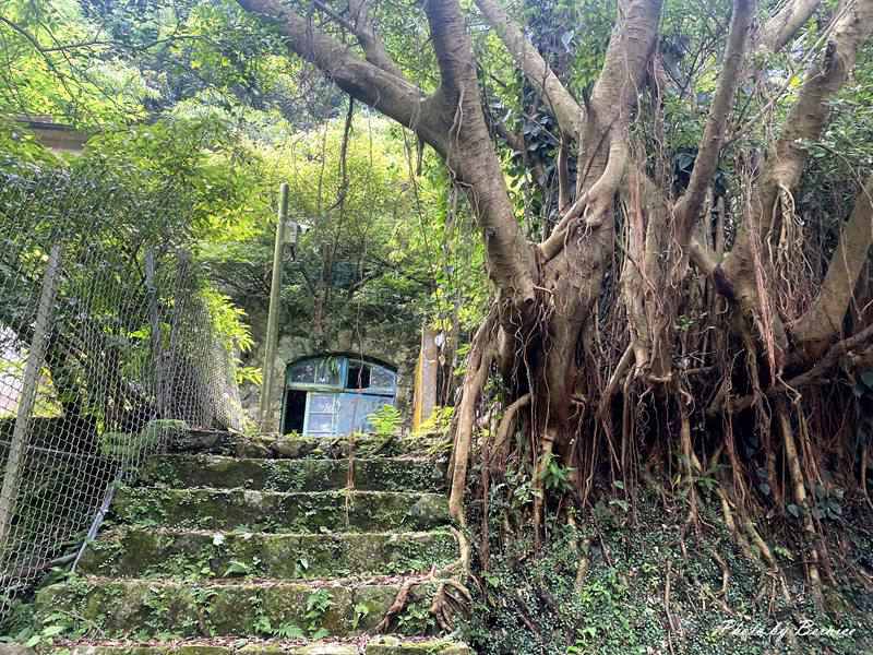 藍寶石泉~揭開神秘藍色秘境 探索草山水道的美 @Bernice的隨手筆記