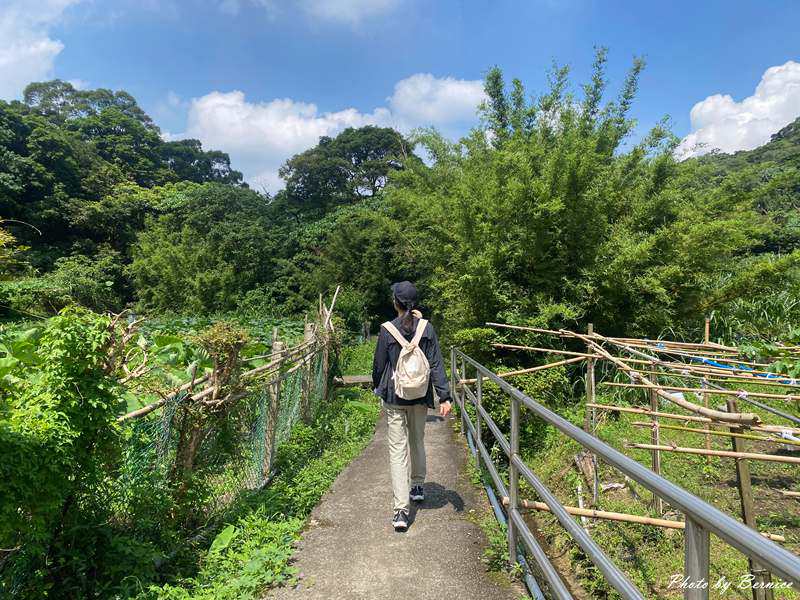 半嶺水圳步道~融合自然生態與瀑布相遇的美好 @Bernice的隨手筆記