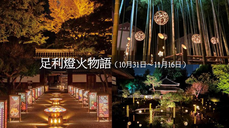 日本夜景觀光嘉年華 2025 in TAIWAN @Bernice的隨手筆記