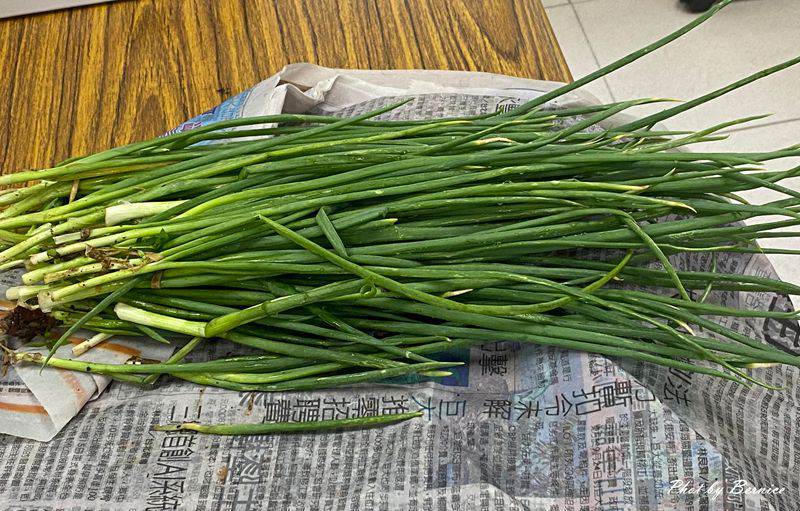 粉漿珠蔥餅~不會和麵也能享受蔥油餅 @Bernice的隨手筆記 粉漿珠蔥餅~不會和麵也能享受蔥油餅 @Bernice的隨手筆記