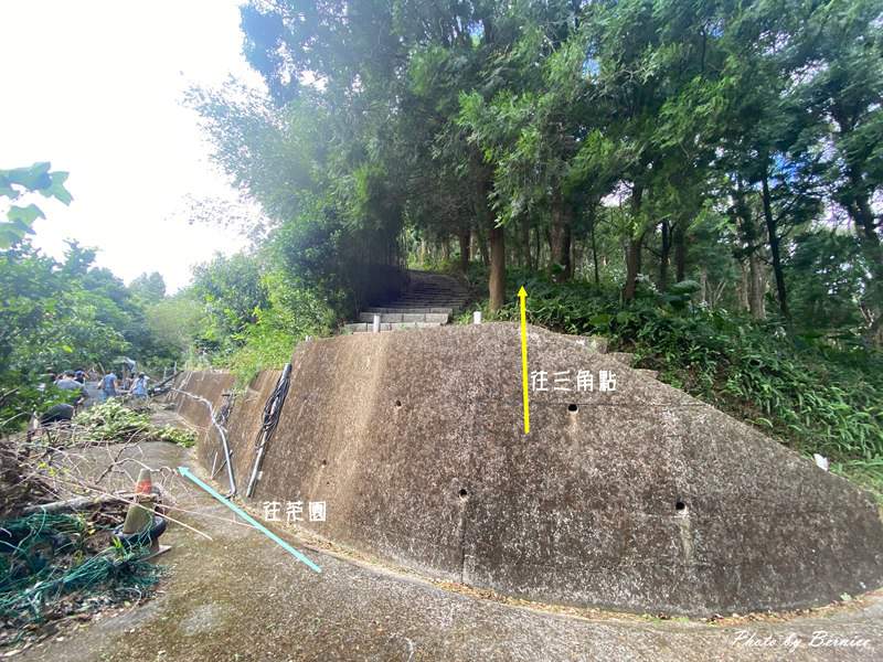 北埔 有柿來找茶 輕旅行~大份林步道/油點草茶園 @Bernice的隨手筆記