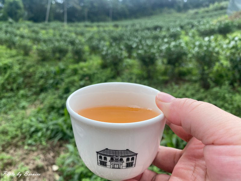 北埔 有柿來找茶 輕旅行~大份林步道/油點草茶園 @Bernice的隨手筆記 北埔 有柿來找茶 輕旅行~大份林步道/油點草茶園 @Bernice的隨手筆記
