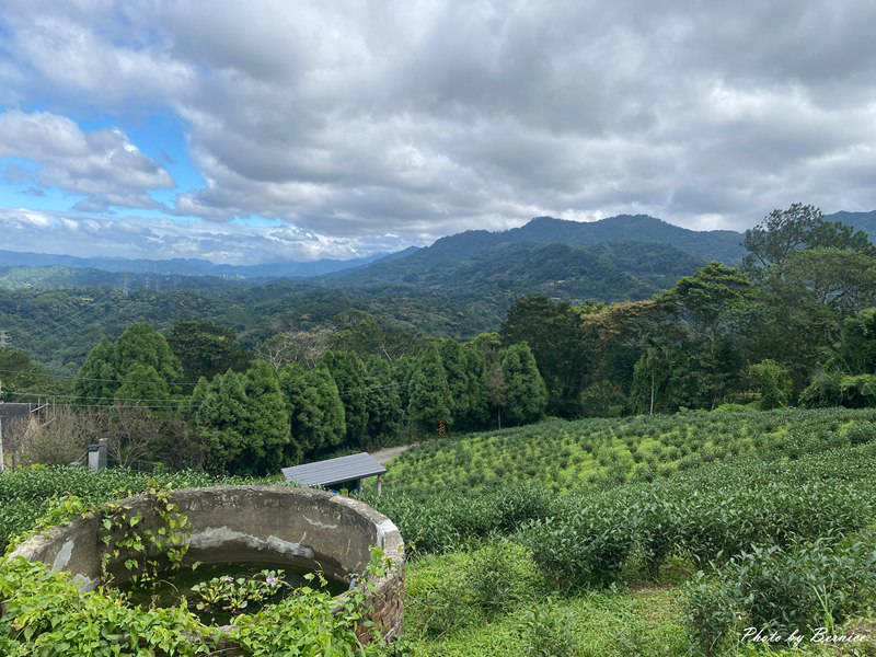 北埔 有柿來找茶 輕旅行~大份林步道/油點草茶園 @Bernice的隨手筆記 北埔 有柿來找茶 輕旅行~大份林步道/油點草茶園 @Bernice的隨手筆記