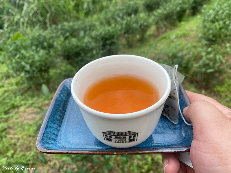 北埔 有柿來找茶 輕旅行~大份林步道/油點草茶園 @Bernice的隨手筆記 北埔 有柿來找茶 輕旅行~大份林步道/油點草茶園 @Bernice的隨手筆記