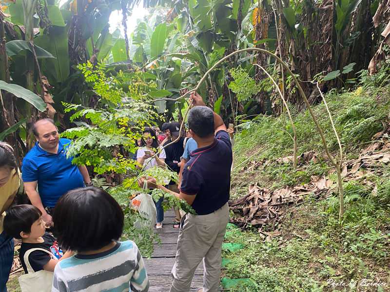 北埔 有柿來找茶 輕旅行~惜愛窩自然生態教育園區 @Bernice的隨手筆記