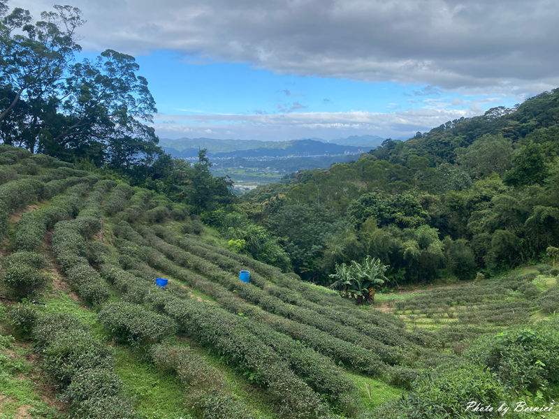 北埔 有柿來找茶 輕旅行~惜愛窩自然生態教育園區 @Bernice的隨手筆記