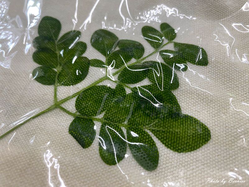 北埔 有柿來找茶 輕旅行~惜愛窩自然生態教育園區 @Bernice的隨手筆記