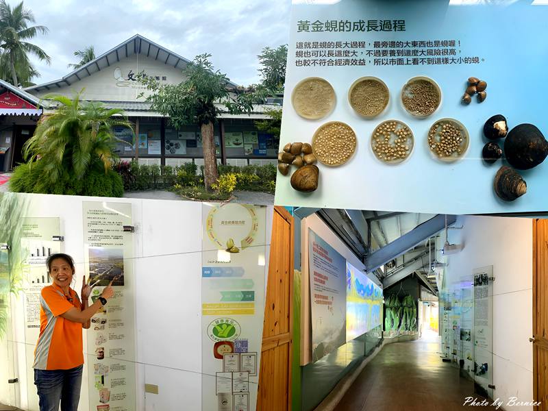 花蓮休閒漁業廊道探索~洄遊吧/立川漁場/五餅二魚/花蓮漁會 @Bernice的隨手筆記