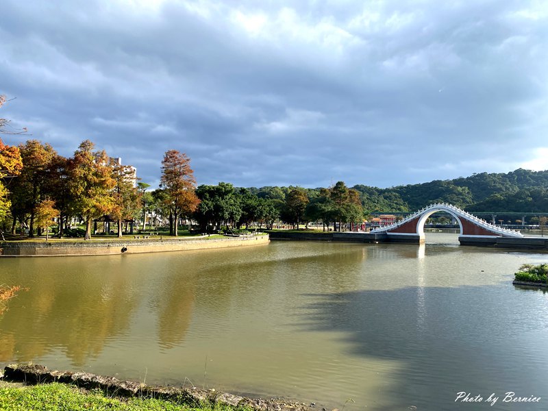 大湖公園落羽松~走進城市裡的秋冬風景 @Bernice的隨手筆記