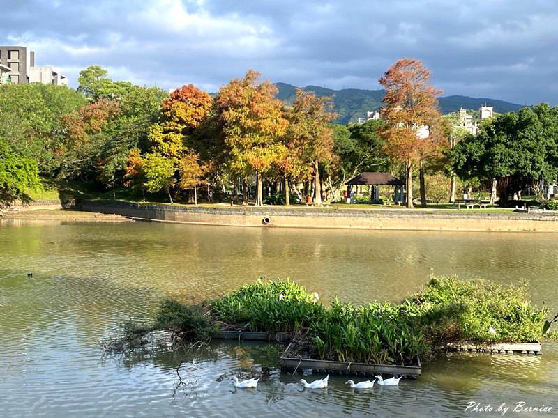 大湖公園落羽松~走進城市裡的秋冬風景 @Bernice的隨手筆記