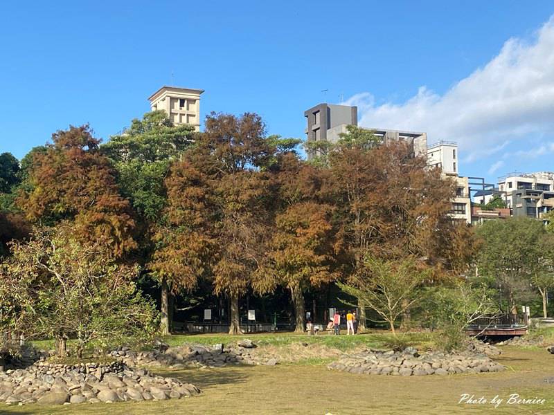 大湖公園落羽松~走進城市裡的秋冬風景 @Bernice的隨手筆記