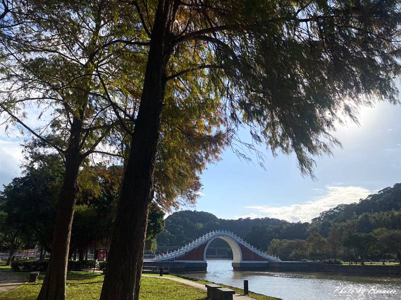 大湖公園落羽松~走進城市裡的秋冬風景 @Bernice的隨手筆記