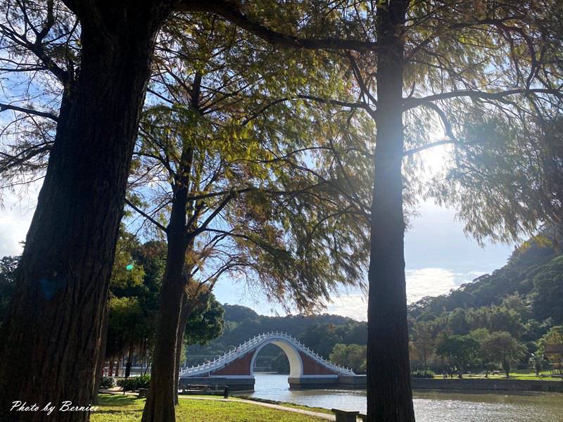 黃金咖啡 @Bernice的隨手筆記