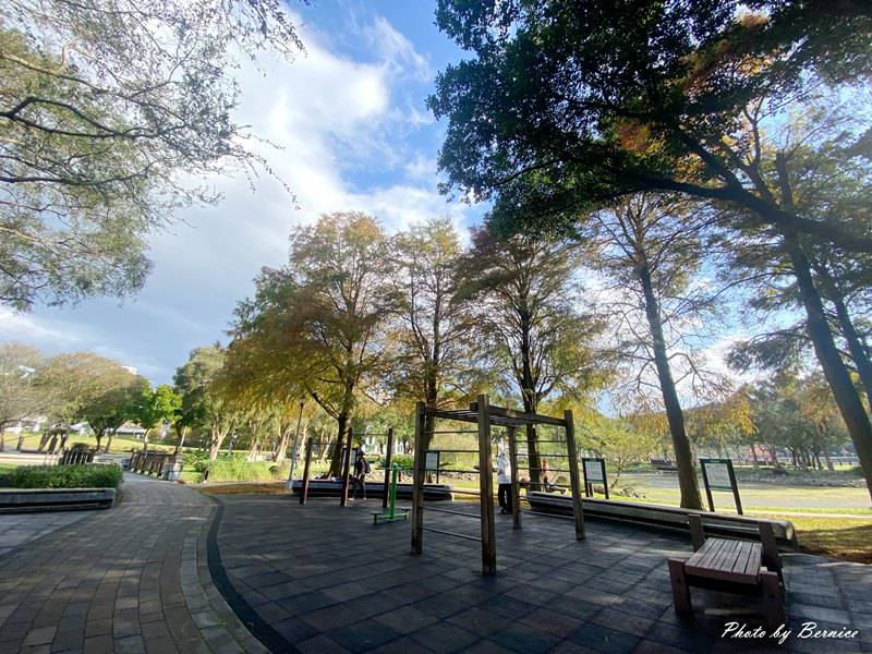 大湖公園落羽松~走進城市裡的秋冬風景 @Bernice的隨手筆記