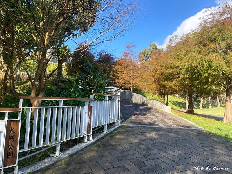 大湖公園落羽松~走進城市裡的秋冬風景 @Bernice的隨手筆記