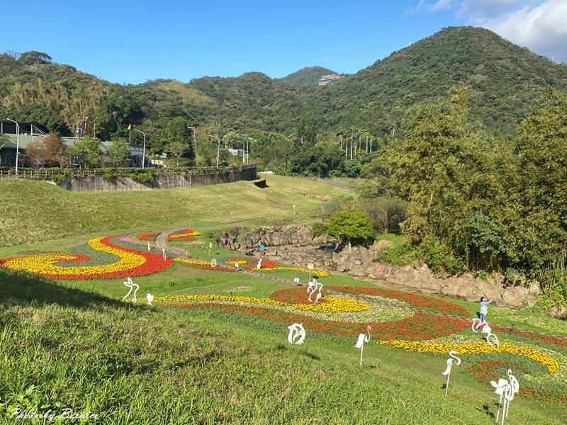 大溝溪冬日花海~花海漫綻放感受冬季限定的繽紛魅力 @Bernice的隨手筆記