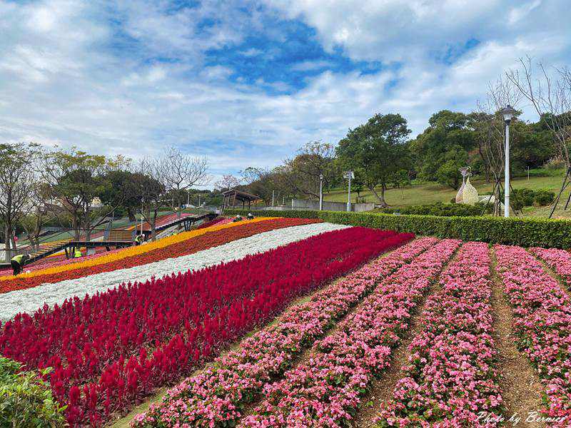 台版富良野~三層崎花海.花願同行 在春天的坡上相遇 @Bernice的隨手筆記