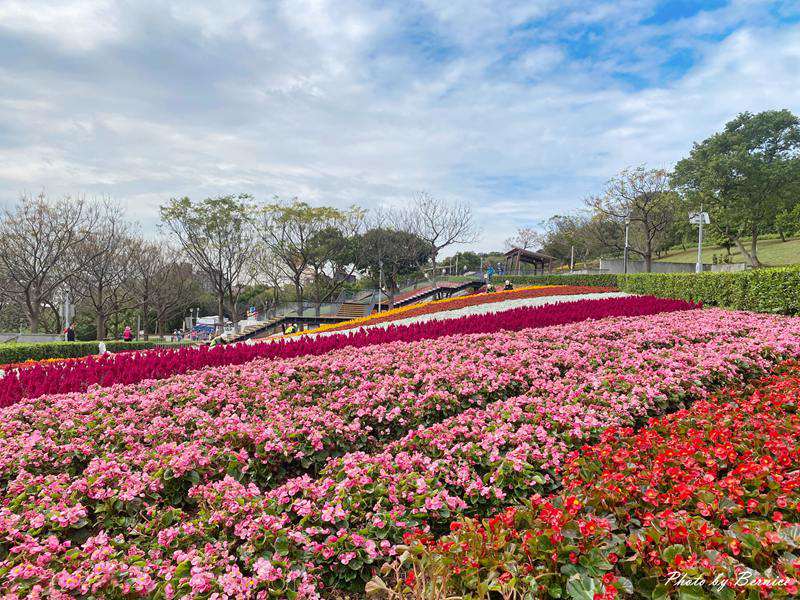 台版富良野~三層崎花海.花願同行 在春天的坡上相遇 @Bernice的隨手筆記