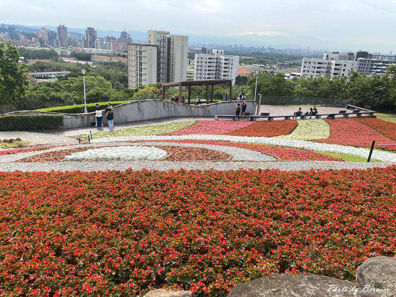 台版富良野~三層崎花海.花願同行 在春天的坡上相遇 @Bernice的隨手筆記