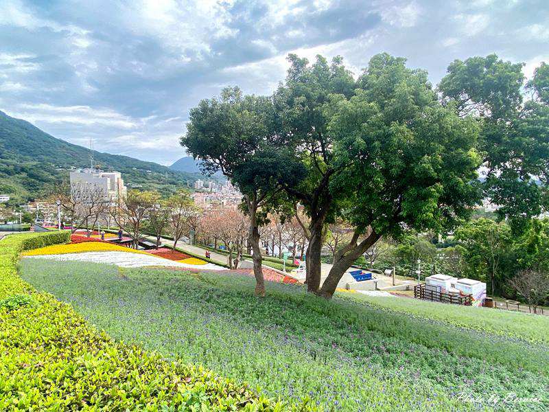 台版富良野~三層崎花海.花願同行 在春天的坡上相遇 @Bernice的隨手筆記