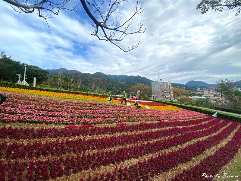 台版富良野~三層崎花海.花願同行 在春天的坡上相遇 @Bernice的隨手筆記