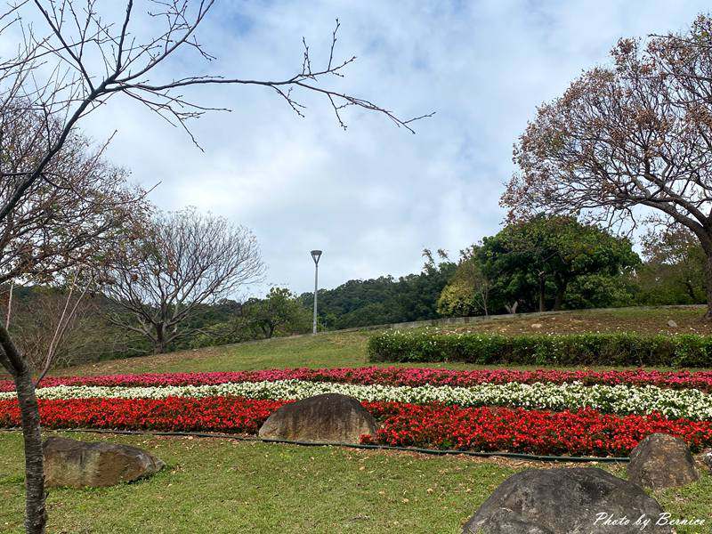 嘎嘮別公園~台版富良野首度串聯嗄嘮別公園櫻花步道 @Bernice的隨手筆記