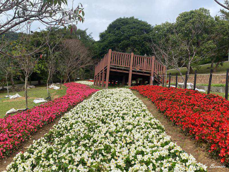 嘎嘮別公園~台版富良野首度串聯嗄嘮別公園櫻花步道 @Bernice的隨手筆記