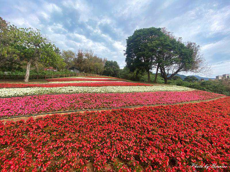 嘎嘮別公園~台版富良野首度串聯嗄嘮別公園櫻花步道 @Bernice的隨手筆記