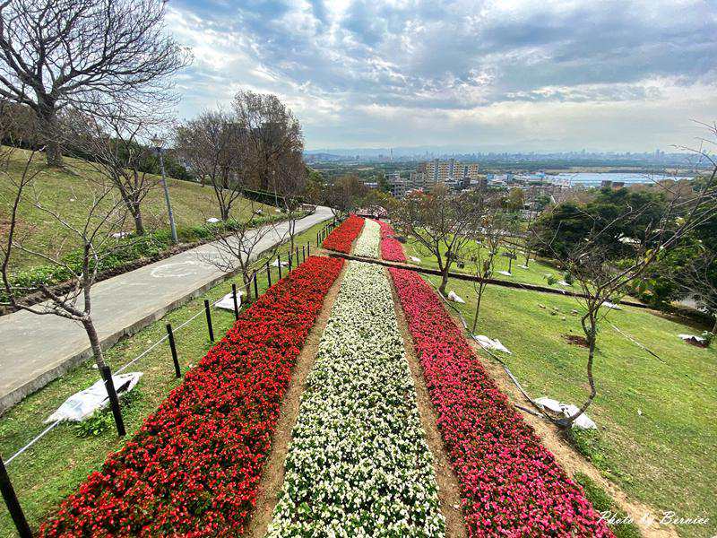台版富良野~三層崎花海.花願同行 在春天的坡上相遇 @Bernice的隨手筆記
